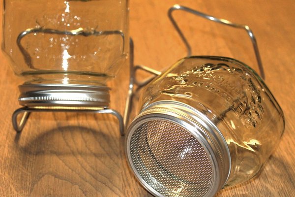 Das Keimglas zum Keimen von Sprossen aus Getreide