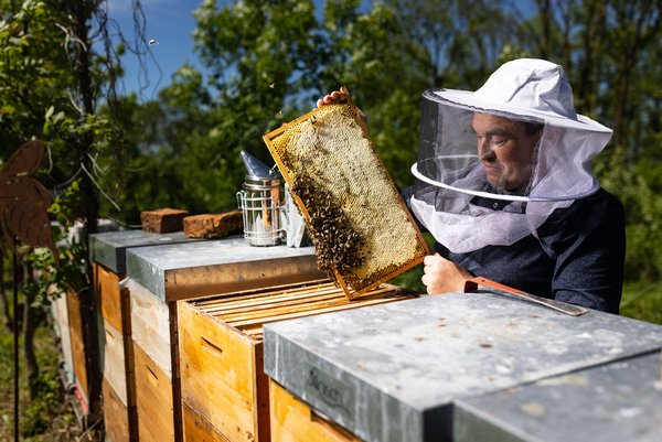 Johannes Gallistl mit Bienenstöcken