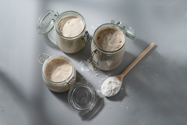 Natursauerteig in Gläsern auf einem grauen Hintergrund