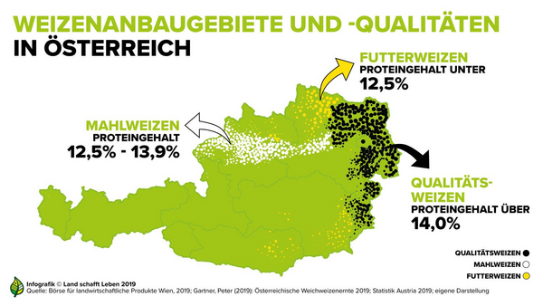 Land schafft Leben Infografik zu Weizenmehl in Österreich