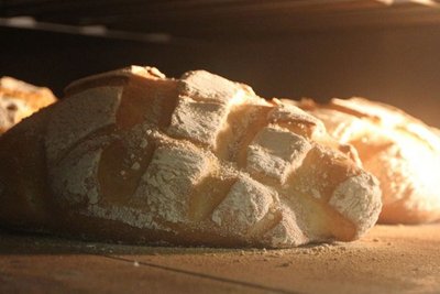 Die Paneologie beschäftigt sich mit unserem täglichen Brot.