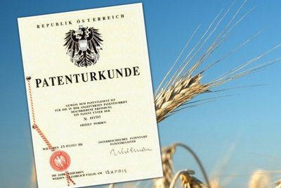 Haubis erhält das Patent für die Herstellung der vorgegarten tiefgekühlten Kaisersemmel im Jahr 1996.