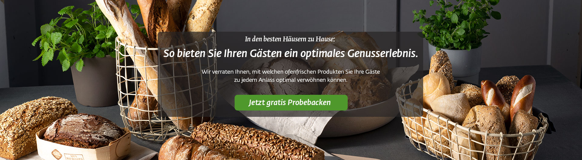 Header Gastronomie Landingpage